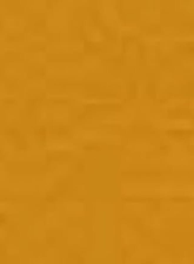 CANSON Talens 803 gouache water color - deep gold, 20 ml