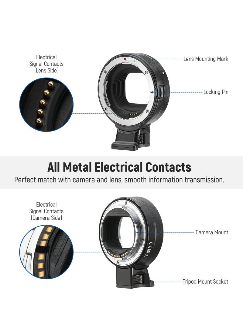 EF to EOS R Mount Adapter, EF/EF-S Lens to RF Mount Camera Autofocus Converter Ring Compatible with Canon EOS R Ra RP R6 Mark II R6 R5 R3 R7 R10 R8 R50  - Image 5