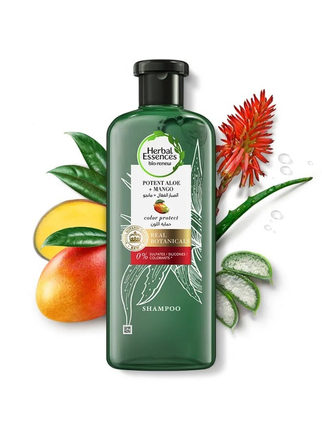 هربل إيسنسز شامبو بيو رينيو القوي لحماية لون الشعر بخلاصة الصبار والمانجو 400 مل - Image 1