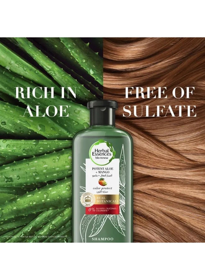هربل إيسنسز شامبو بيو رينيو القوي لحماية لون الشعر بخلاصة الصبار والمانجو 400 مل - Image 2