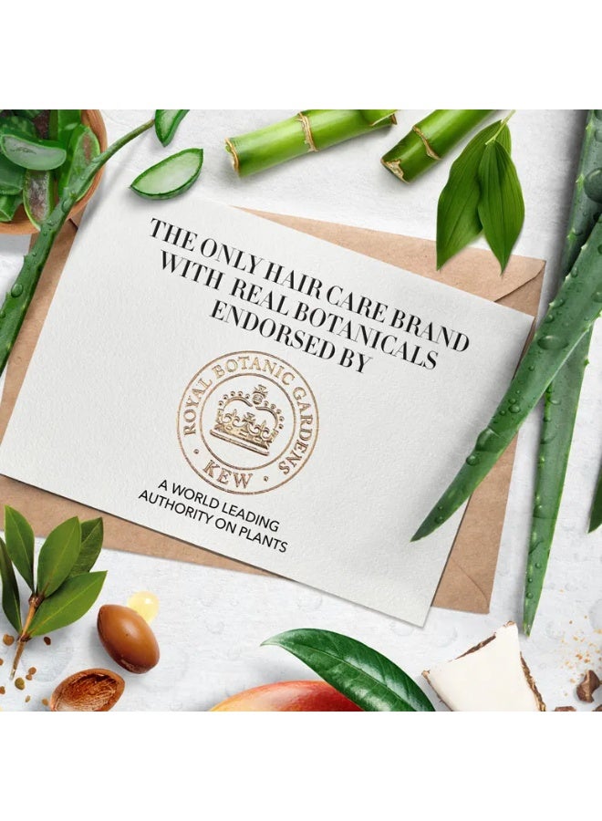 هربل إيسنسز شامبو بيو رينيو القوي لحماية لون الشعر بخلاصة الصبار والمانجو 400 مل - Image 5