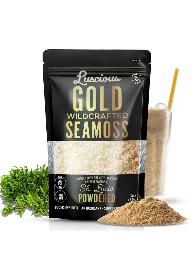 مسحوق طحالب البحر الأيرلندية الذهبية 3 أونصات - 100% عضوي من طحالب البحر في سانت لوسيا | غذاء خارق مُعد بشكل طبيعي لصحة الأمعاء، دعم المناعة، نباتي، خالي من الغلوتين | يُنتج 120+ أونصة سائلة من الجل بواسطة لوشس سبايس إمبوريوم - Image 1