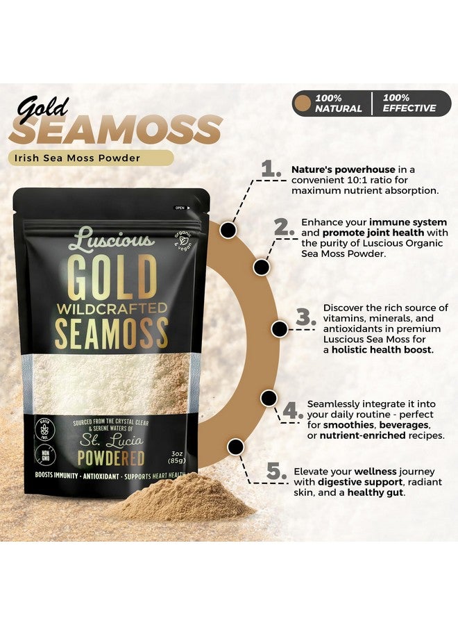 مسحوق طحالب البحر الأيرلندية الذهبية 3 أونصات - 100% عضوي من طحالب البحر في سانت لوسيا | غذاء خارق مُعد بشكل طبيعي لصحة الأمعاء، دعم المناعة، نباتي، خالي من الغلوتين | يُنتج 120+ أونصة سائلة من الجل بواسطة لوشس سبايس إمبوريوم - Image 3
