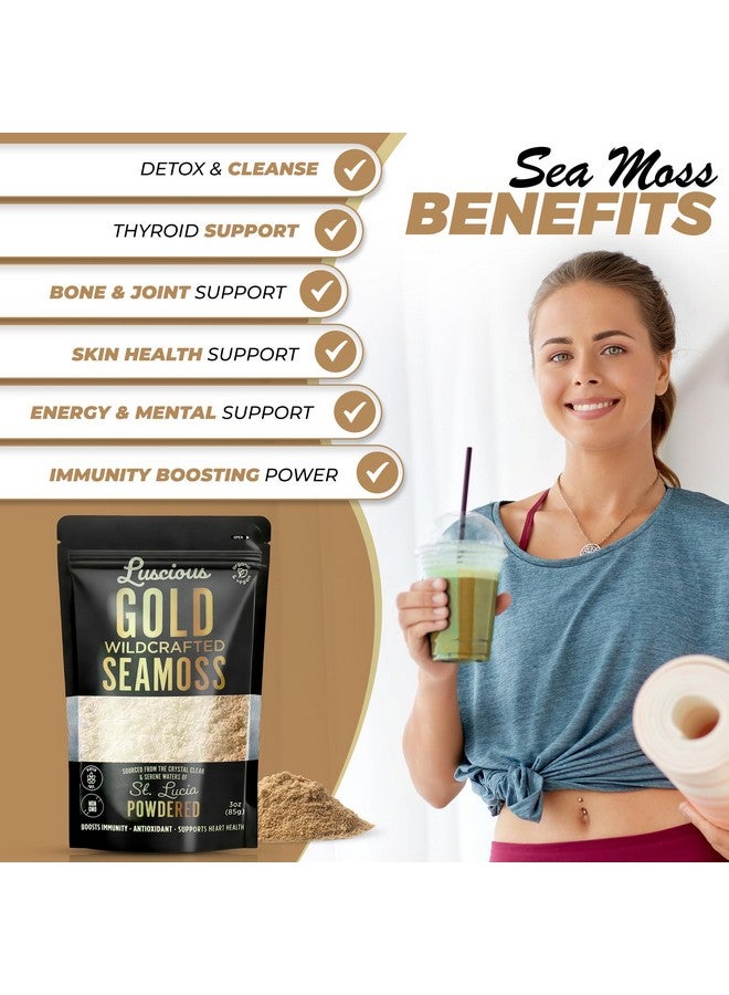 مسحوق طحالب البحر الأيرلندية الذهبية 3 أونصات - 100% عضوي من طحالب البحر في سانت لوسيا | غذاء خارق مُعد بشكل طبيعي لصحة الأمعاء، دعم المناعة، نباتي، خالي من الغلوتين | يُنتج 120+ أونصة سائلة من الجل بواسطة لوشس سبايس إمبوريوم - Image 2