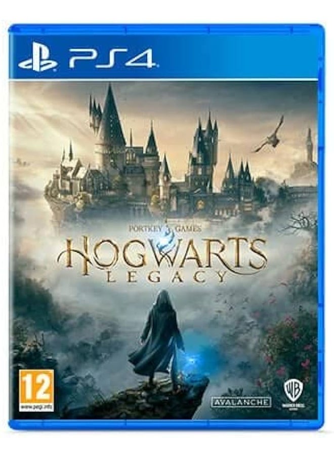 Warner Bros. Interactive Hogwarts Legacy - playstation_4_ps4 - Image 1
