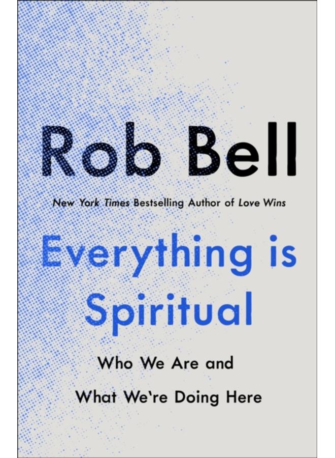 Everything is Spiritual : A Brief Guide to Who We Are and What We're Doing Here 