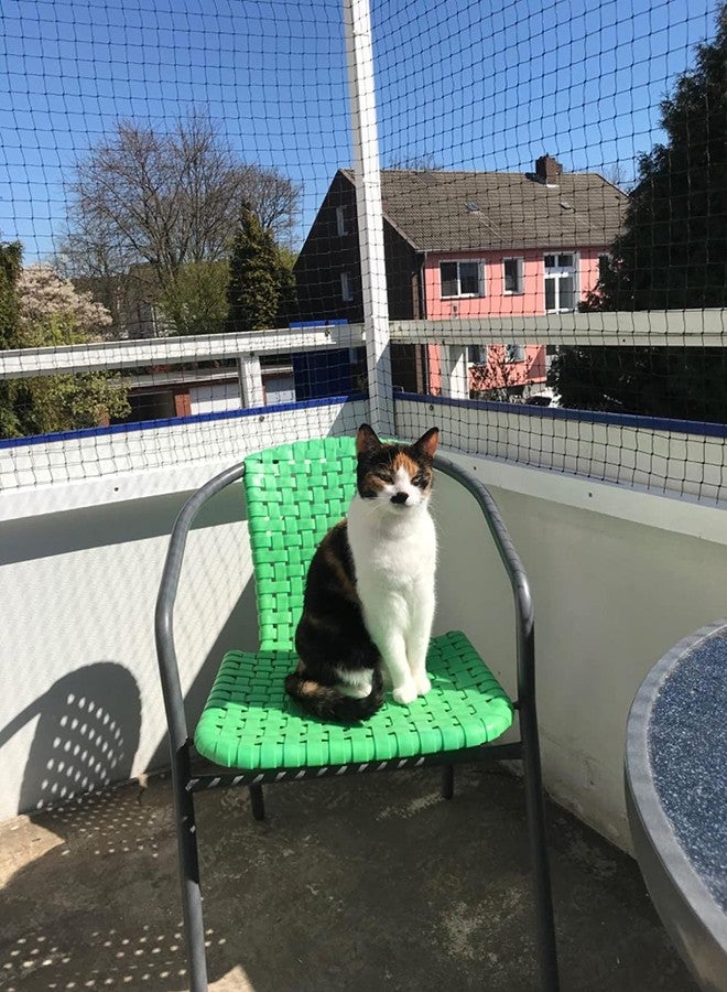 AIYGO Cat Netting Balcony 10 * 33ft Pet Mesh Fence for Balcony Black Nylon Balcony Netting for Pets Anti-Fall Cat Net for Balcony and Windows - Image 3