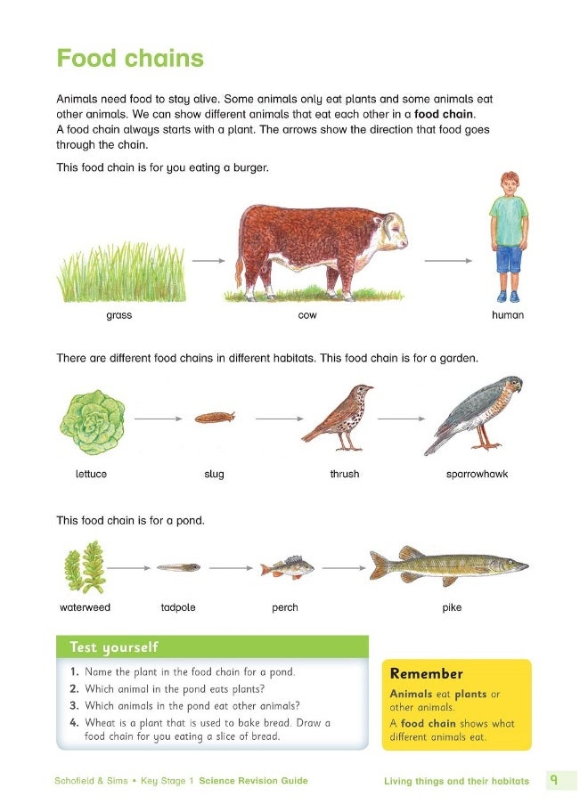 Key Stage 1 Science Revision Guide  - Image 5