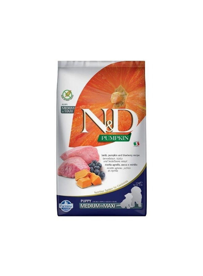 Farmina N&D Pumpkin Lamb & Blueberry Puppy Med & Maxi Dry Dog Food - 2.5 Kg