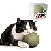 Fokauiwo 394 Inches Huge Catnip Ball for Indoor Cats Giant Cat Toys for Kittens Jumbo Cat Nip Balls Big Teething Chew Toys Kitty Teeth Cleaning Lick Dental Toys - Image 3
