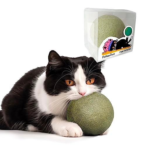 Fokauiwo 394 Inches Huge Catnip Ball for Indoor Cats Giant Cat Toys for Kittens Jumbo Cat Nip Balls Big Teething Chew Toys Kitty Teeth Cleaning Lick Dental Toys - Image 1