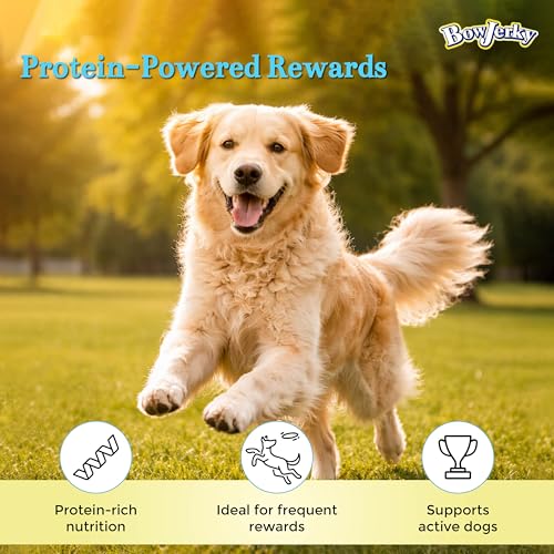 Bow Jerky Premium Chicken & Milk Dog Treats 800gm High Protein Dog Treats for Training & Reward Healthy Dog Snacks Nutrient Rich Jerky Sticks for Puppies Adults Senior Dogs All Breeds - Image 4