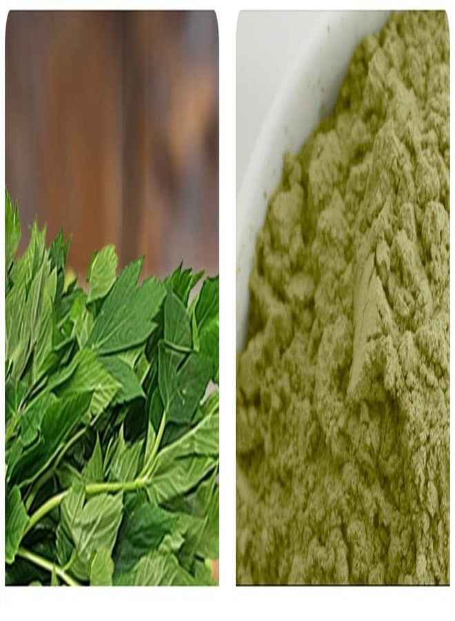 PALPLUS Organic Natural Pure Ashitaba Angelica keiskei Extract Powder -10.58 Ounce (300g) - Image 3
