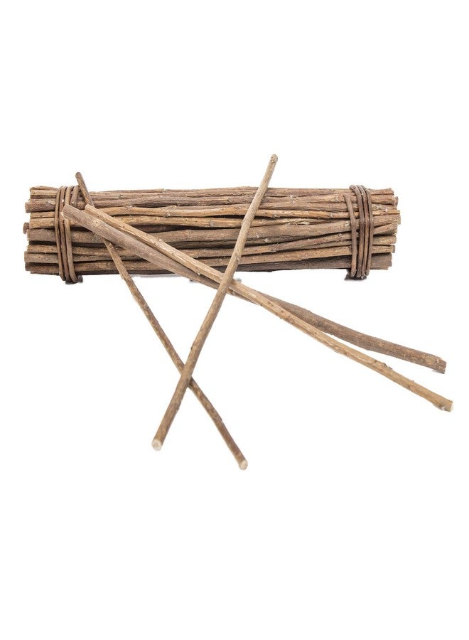 وير مانيوفاكتشارينج (عبوة من 4 قطع) أعواد مضغ ميجا مونش من خشب الصفصاف الطبيعي من وير، مكافآت صغيرة للحيوانات الأليفة - Image 2