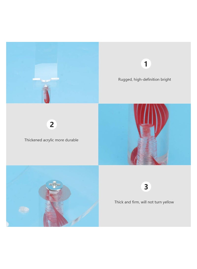 Captaintech Moon Shaped Display Stand, Clear Display Stand, Jewelry Display Stand, Adjustable Acrylic Sandals Shoe Display Stand, Clear Shoe Rack, Storage Shoe Organizer Holder Organization Space Saver - Image 4