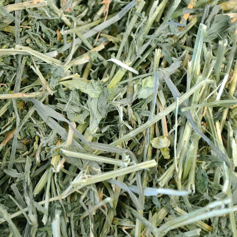 Oxbow Alfalfa Hay for Small Pets, 15-Ounce - Image 5