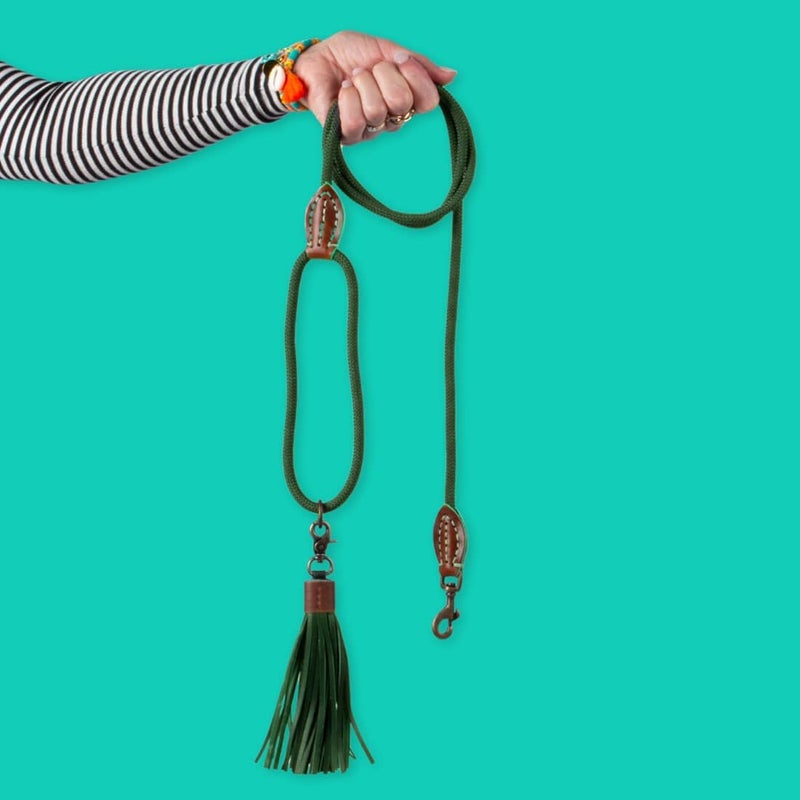 Dog with a Mission Bowie Dog Leash, Large, Green - Image 1