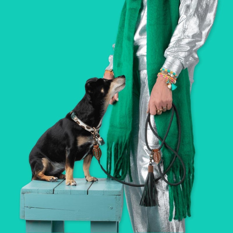 Dog with a Mission Bowie Dog Leash, Large, Green - Image 4