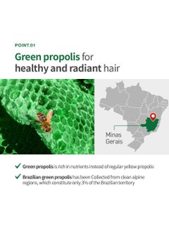 TS TS Green Propolis Shampoo - Anti-Thinning Korean Shampoo, Clinically Proven, For Women& Men, Natural Daily Routine Shampoo, 17.64 Fl oz  - Image 2