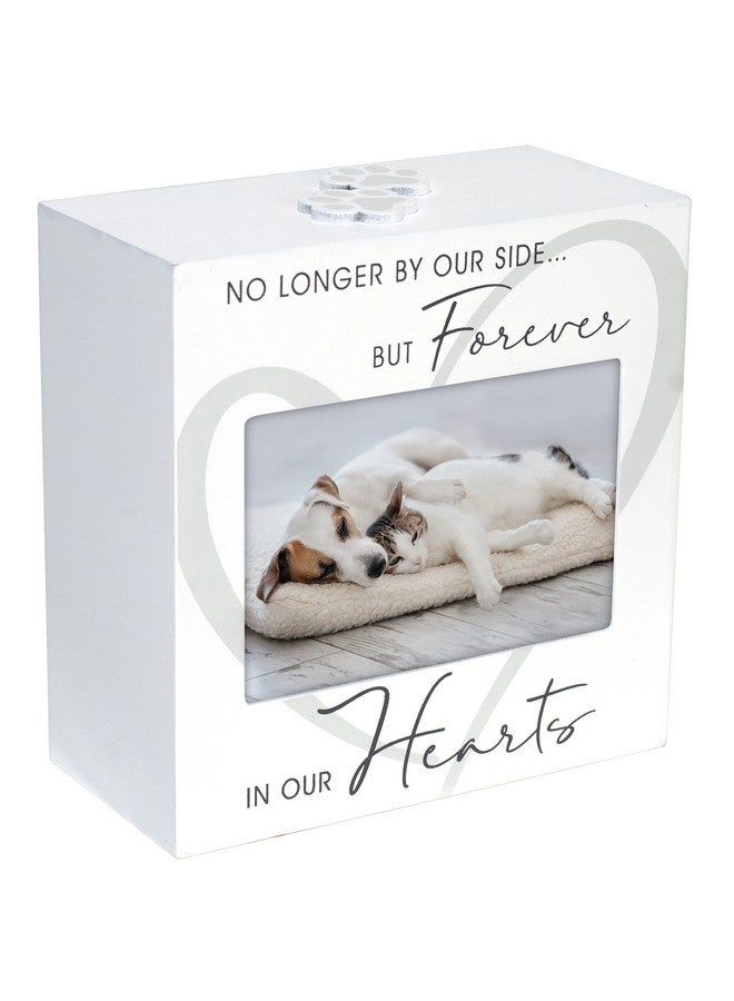 Malden International Designs 3.5x5 Forever In Our Hearts Memorial Pet Urn Four sided Screenprinted White Wood Urn Paw Print Attachment Removable Bottom Panel - Image 1