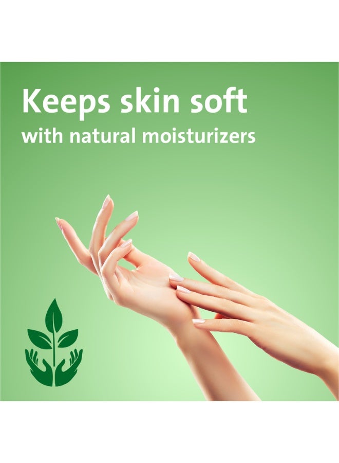 loyal Liquid Hand Wash - With Green Garden Scent - Natural Aroma - 500 ml - Image 2