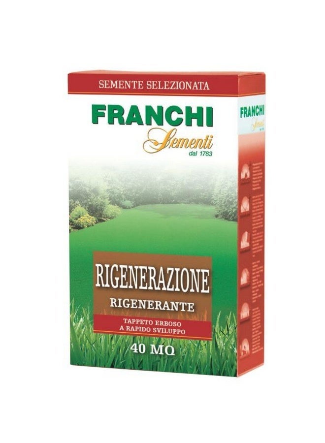 Franchi Sementi Rigenerazione Grass Seeds 1kg – 40m² Fast-Growing Lawn Repair - Image 2