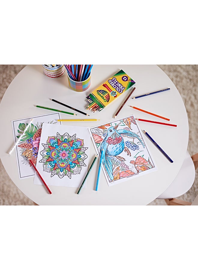 Crayola 12 قلم رصاص ملون - Image 4