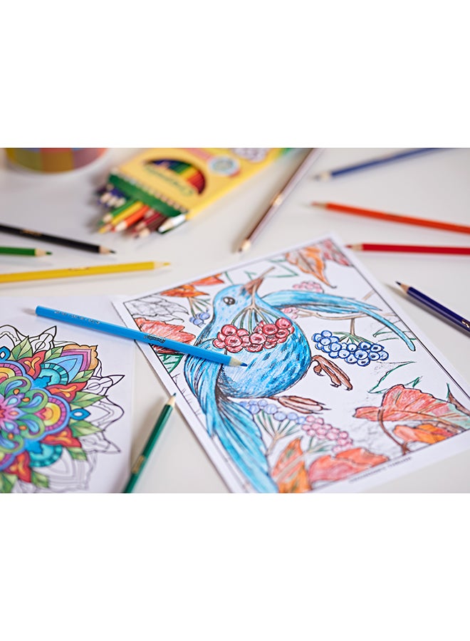 Crayola 12 قلم رصاص ملون - Image 5