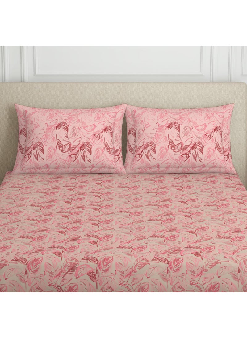 SPACES SPACES 100% Cotton Double Bedsheet with 2 Pillow Covers (Size 88 x 100 inch) | 132 TC Bed Sheet for Double Bed | Breathable Pure Cotton Queen Size Bedsheet | Tropica | Floral Light Pink  - Image 4