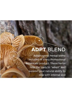 Professional Botanicals Professional Botanicals - Vegan Formulated Co-Resists - Synergistic Blend of Herbs and Powerful Nutrients That Supports The Immune System - 90 Vegetarian Capsules  - Image 4
