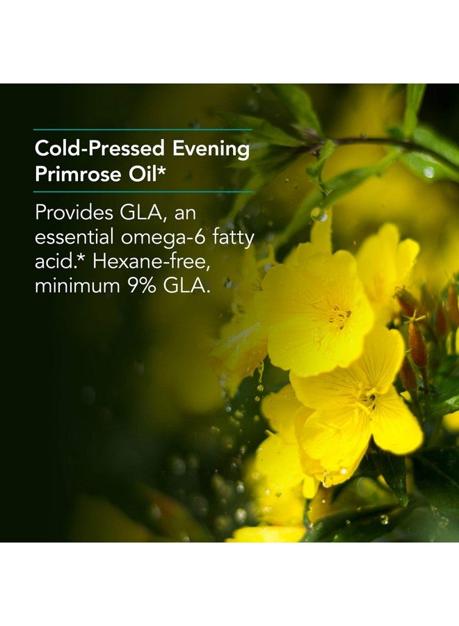 Nutricology نوتري كولوجي EPO - زيت زهرة الربيع المسائية للرجال والنساء، لعلاج جفاف العين، أوميغا-6 EFA، حمض غاما لينولينيك، مكمل 500 ملغ - 120 حبة - Image 5