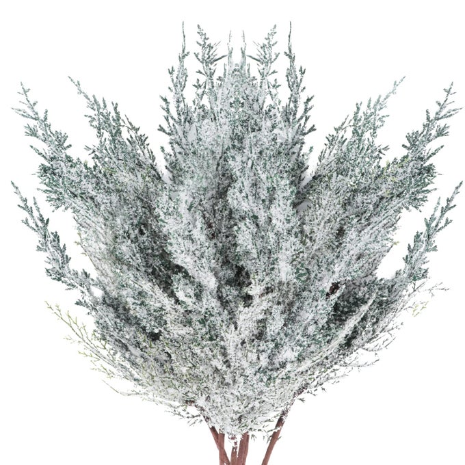 6 PIECES FROSTED ARTIFICIAL CEDAR PINE BRANCHES SPRIGS 17 SNOWY FAUX CEDAR TWIG WHITE WINTER GREENERY STEMS PINE PICKS CEDAR SPRAY FOR CHRISTMAS TREE CRAFT WREATHS GARLANDS HOLIDAY SEASON DECOR 6