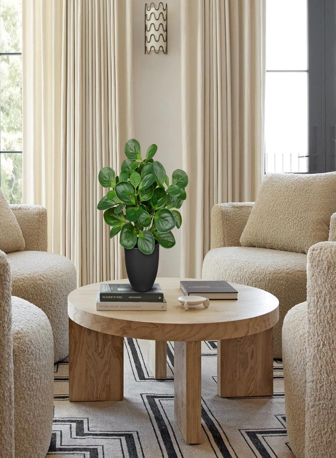 نباتات اصطناعية من فيلا كومو بطول 14.5 بوصة لتزيين المنزل الداخلي، نباتات حريرية مزيفة في أصص لتزيين أرفف غرفة المعيشة، نباتات مكتبية اصطناعية صغيرة في أصص، نبات بيبروميا هوب استوائي منزلي اصطناعي - Image 3