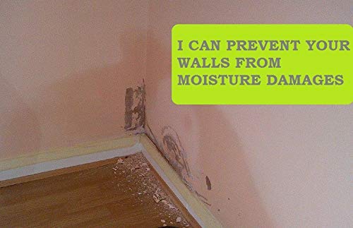 FRESHWIND ماص الرطوبة فريش ويند مزيل الروائح انتعاش كل مكان خزانة الملابس خزائن التخزين حجرة التخزين خزانة الأحذية الحمام WCMABSORBER100G 2 - Image 4