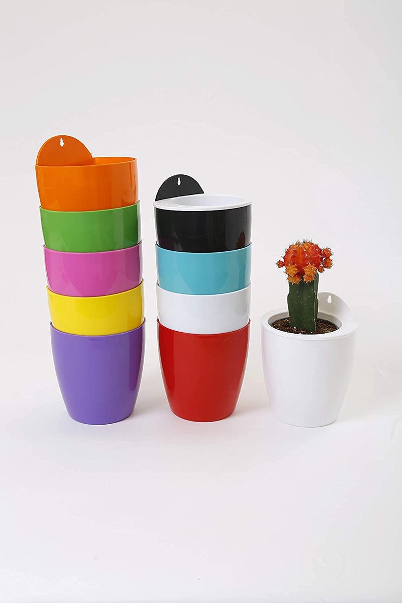 CAPPL Self Watering Hanging Planter Flower Pot (Multi, Set of 24) - Image 2