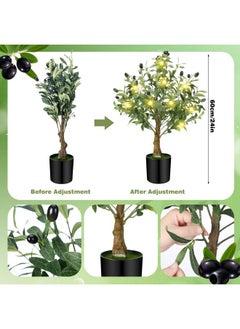 Hotop Hotop 24 Inch Artificial Olive Tree Indoor 2ft Tall Faux Olive Trees with LED String Lights Small Fake Plant Artificial Potted Silk Plants Outdoor for Home Room Office Modern Table Decor  - Image 2