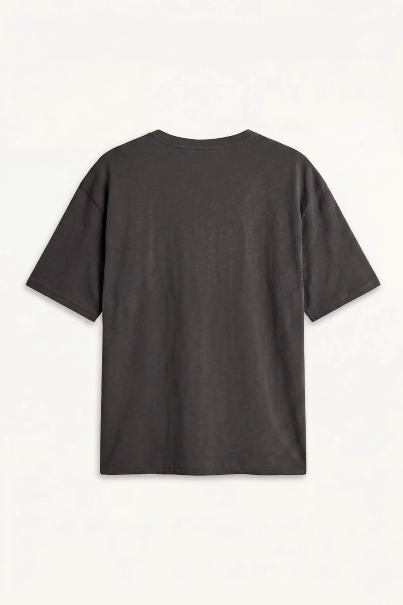 DeFacto Boxy Fit Short Sleeve T-Shirt