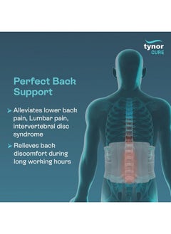 Tynor TYNOR Contoured Lumbar Sacral Support, Grey, Large, 1 Unit  - Image 2