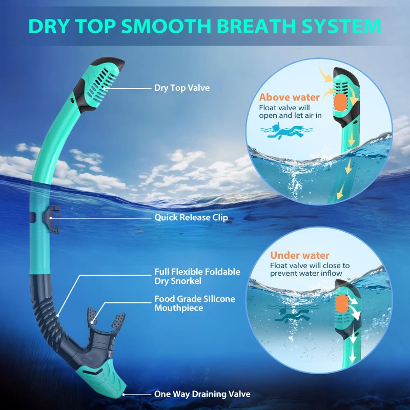 wutrye Snorkeling Gear for Adults, Mask Fin Snorkel Set, Dry Top Snorkel, Snorkeling Kit Travel Diving Package, Panoramic View Anti-Fog Anti-Leak - Image 3