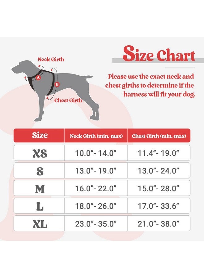 رابيتجو حزام كلاب من rabbitgoo، حزام لا يسحب للحيوانات الأليفة مع مشبكين للمقود، سترة ناعمة مبطنة قابلة للتعديل للكلاب، سترة أكسفورد عاكسة لا تخنق الحيوانات الأليفة مع مقبض تحكم سهل للكلاب الكبيرة، أسود وأحمر، مقاس صغير - Image 2