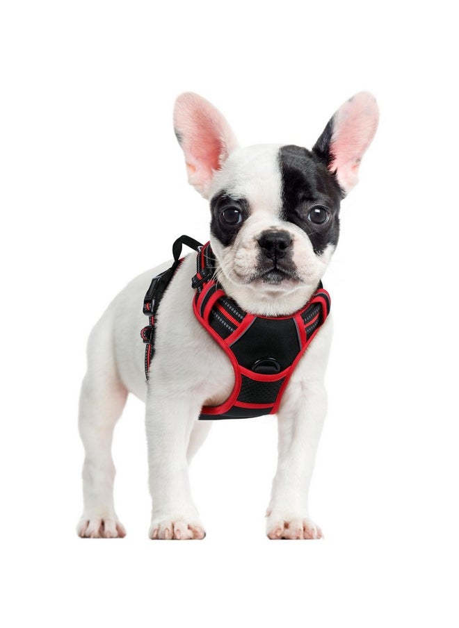 rabbitgoo Dog Harness, No-Pull Pet Harness with 2 Leash Clips, Adjustable Soft Padded Dog Vest, Reflective No-Choke Pet Oxford Vest with Easy Control Handle for Large Dogs, Black & Red, S - pzsku/Z26F41E6121FD4F5CD846Z/45/_/1736426629/9440a6e4-05ae-4cbb-9c58-ba93d23ce214