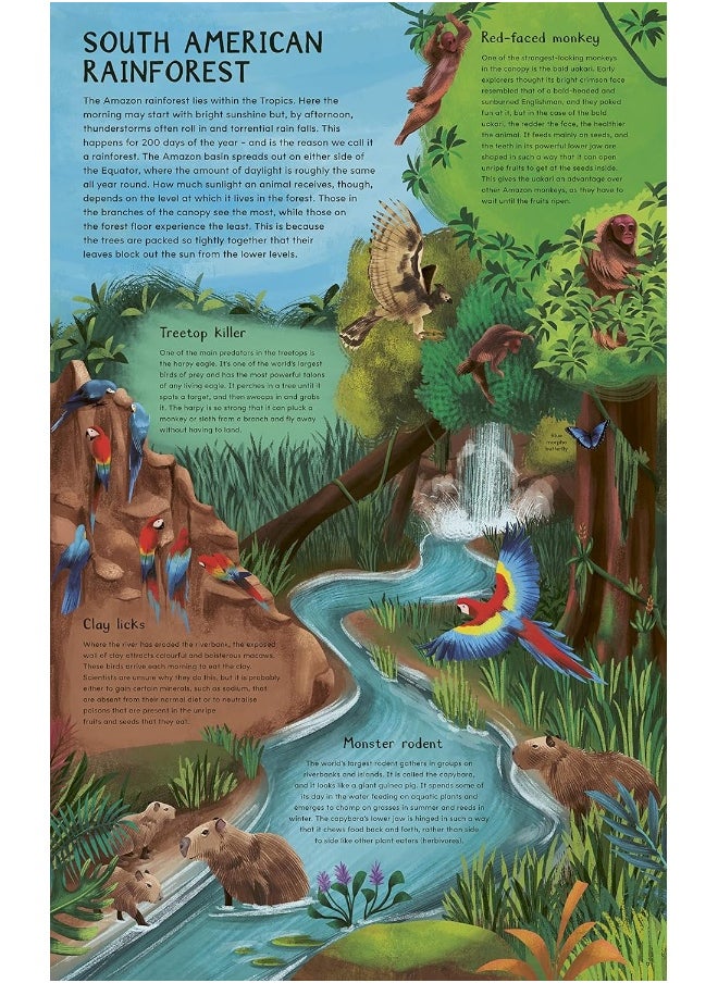 Daytime and Night-time: Explore the earth's habitats during the day and ni  - Image 2