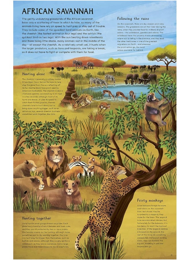 Daytime and Night-time: Explore the earth's habitats during the day and ni  - Image 4