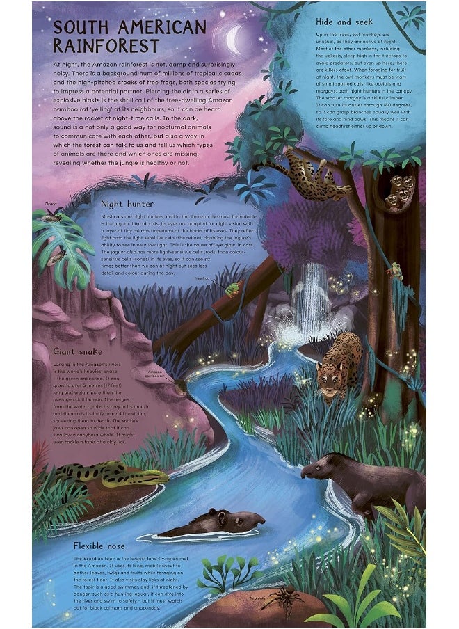 Daytime and Night-time: Explore the earth's habitats during the day and ni  - Image 3