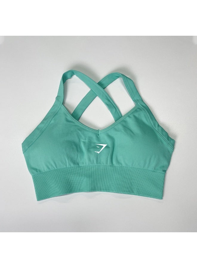 صدرية رياضية مع تصميم خلفي كلاسيكي من غيمشارك، مضادة للصدمات ومقوية، تغطي وتحافظ على الدعم المثالي أثناء التمارين.