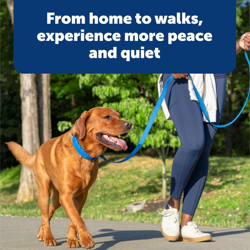 PetSafe Soft Point Training Collar - Comfortable No-Pull Adjustable Quick-Release Collar with Removable Soft Rubber Points - Pain-Free Training for Better Leash Manners - Large - Blue - Image 5