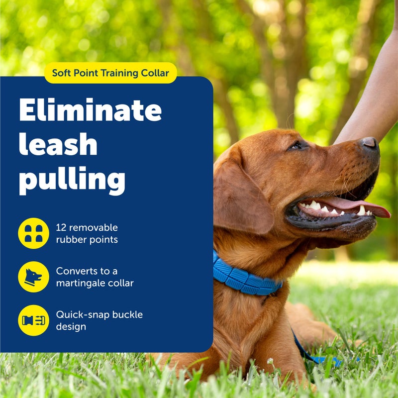 PetSafe Soft Point Training Collar - Comfortable No-Pull Adjustable Quick-Release Collar with Removable Soft Rubber Points - Pain-Free Training for Better Leash Manners - Large - Blue - Image 2