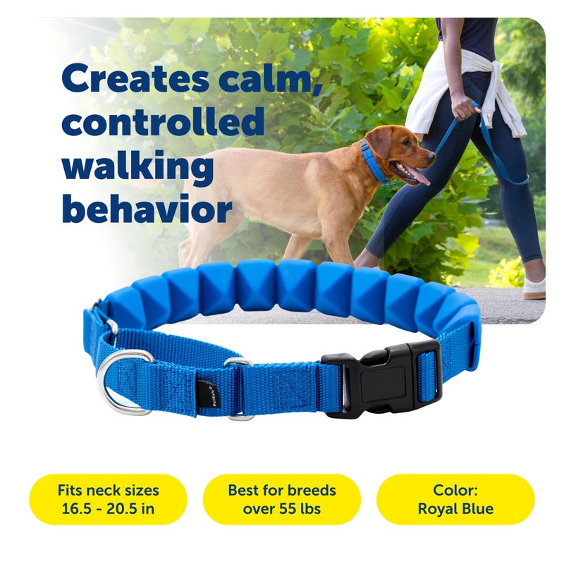 PetSafe Soft Point Training Collar - Comfortable No-Pull Adjustable Quick-Release Collar with Removable Soft Rubber Points - Pain-Free Training for Better Leash Manners - Large - Blue - Image 3