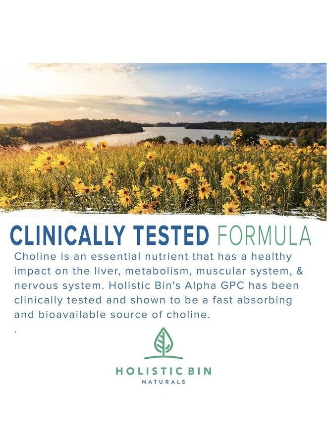 Holistic Bin - Alphasize® Gpc Powder ; Bioavailable Choline Supplement ; Alpha Gpc Powder ; Brain Support Supplement For Memory Focus & Physical Endurance Support - Image 1