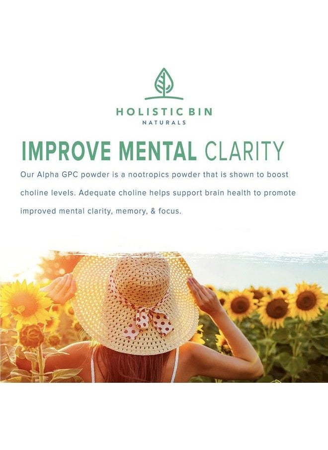 Holistic Bin - Alphasize® Gpc Powder ; Bioavailable Choline Supplement ; Alpha Gpc Powder ; Brain Support Supplement For Memory Focus & Physical Endurance Support - Image 1